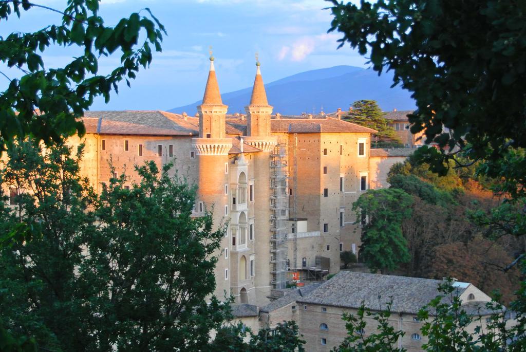 Camping Pineta Hotel Urbino Eksteriør billede