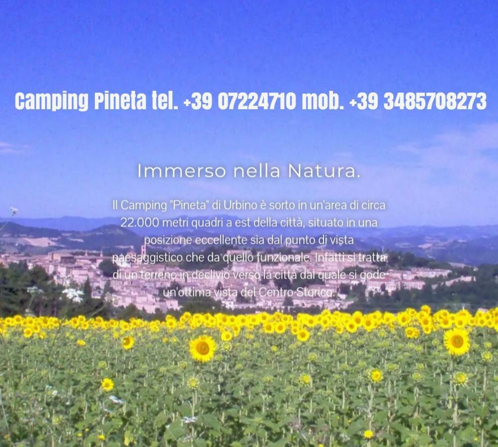 Camping Pineta Hotel Urbino Eksteriør billede